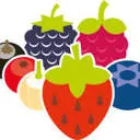 Logo van Berry Briljant