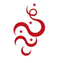 Logo van C-tin camerabewaking