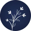 Logo van Saskia Driezen Uitvaartzorg