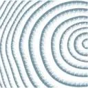Logo van De Forensische Zorgspecialisten