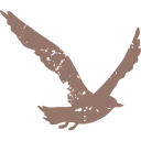 Logo van Strandpaviljoen De Zeemeeuw