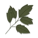 Logo van landgoed de Geer