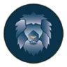 Logo van Citys Student Consultancy Groningen