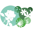 Logo Celieplant B.V.
