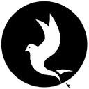 Logo van Break Free Films