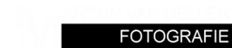 Logo van Martijn van Dellen Fotografie