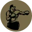 Logo van Haagse Directe