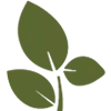 Logo van Natuurtrainingen