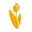 Logo van ThinkingDutch