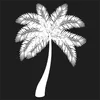Logo van JJ Miami B.V.
