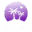 Logo van Mi Amor NL