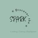Logo van Discover the Spark