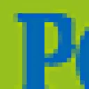 Logo Paarden Oppas Service