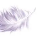 Logo Claudia Rossen Uitvaartverzorging