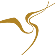 Logo van Lisette Goldman Coaching Brainspotting AND Persoonsontwikkeling