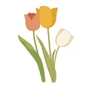 Logo van The Cosmetic Shop Europe B2C Marketplace