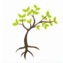 Logo Natural LifeFlow