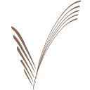 Logo van Bakkerij Vreugdenhil
