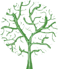 Logo Groen Support