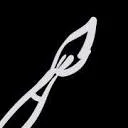 Logo van noir henk seppenwoolde