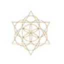 Logo van Living Chi