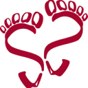 Logo van Voor de voet-reflex