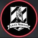 Logo van TSVV Merlijn