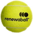 Logo van Renewaball B Corp™