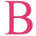 Logo Bosch Management Support