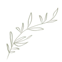 Logo van In Liefde Geboren