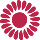 Logo van Studio Magenta_nl