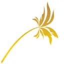 Logo van Flowers and More Papendrecht