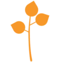 Logo van Birch Consultants