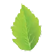 Logo van Verschuren Groen