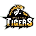 Logo van Basketbalvereniging BV Alphia Tigers