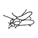 Logo van Den Daas Vioolbouw