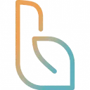 Logo van Bright Visual Branding