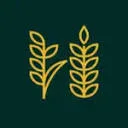 Logo Praktijk Kiem