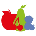 Logo van FRUITVOORUIT.NL