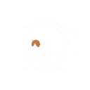 Logo Detailedshots