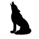 Logo van Creative Dogs