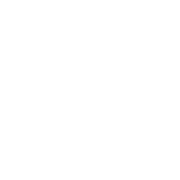 Logo TAMM Solutions
