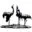 Logo van Bert Denneman Beelden
