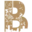 Logo Briggs