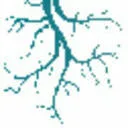 Logo van Rhizosphere Research Products