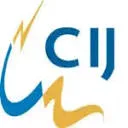 Logo van CIJ Borculo B.V.