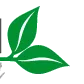 Logo van Beraca Business Support