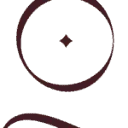 Logo van Tiger Lily