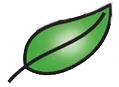 Logo van Storm Students Consultancy