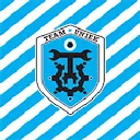 Logo van Team Uniek